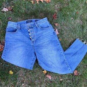 Lucky Brand Ankle Blue Jeans - Size 8 / 29